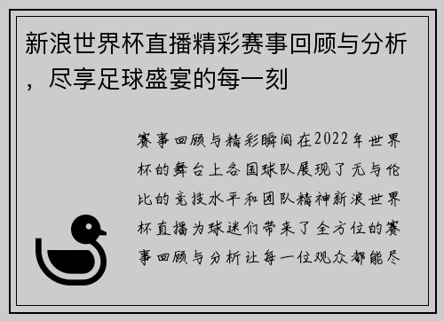新浪世界杯直播精彩赛事回顾与分析，尽享足球盛宴的每一刻